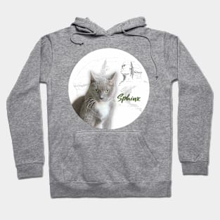 Sphynx Egyptian Grey Cat Hoodie